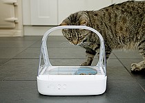 cat-approaching-mircochip-surefeed-feeder
