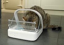 cat-eating-surefeed-mircochip-feeder-front
