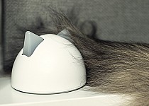 Sure Petcare Hub with cat tail