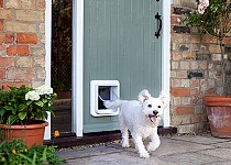 Dog through Microchip Pet Door Connect