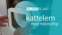 Installation af kattelem med mikrochip i glas