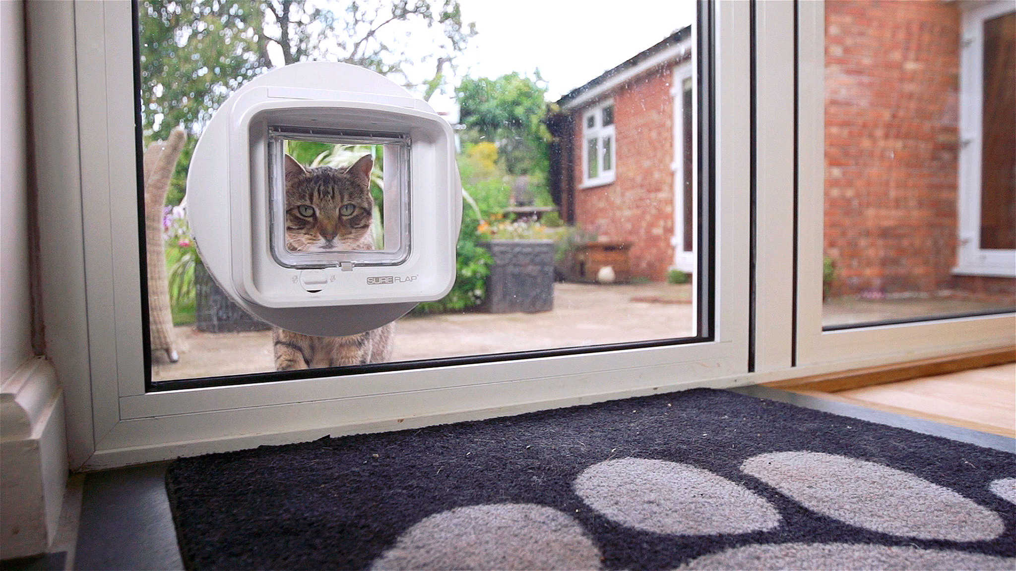 A cat looking through a cat flap fitted into a glass patio door