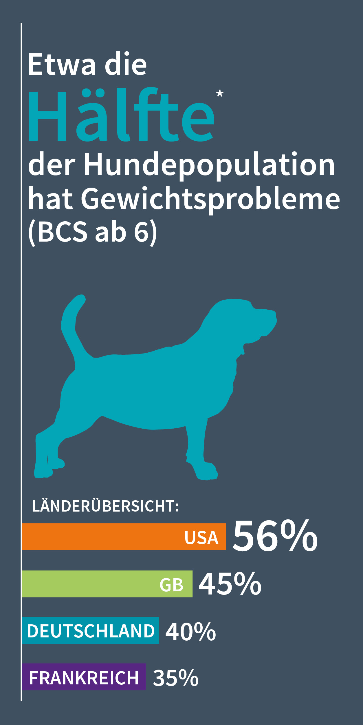 Übergewicht bei Hunden - Infografik 1