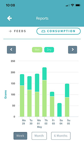 Paddocks the cat's consumption report