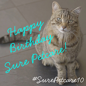 #SurePetcare10