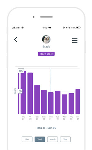 Brady's sleep score after he was shaved