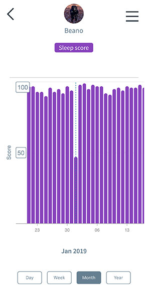 Beano's sleep score on New Year's Eve