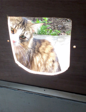 Mr Wendal cat with cat flap installation hole Mr Wendal cat with cat flap installation hole