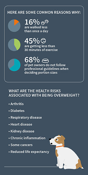 Dog weight infographic 2