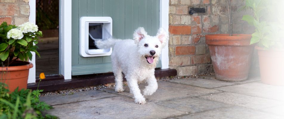 Pet Door Connect